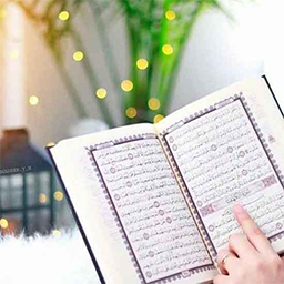 Learn Basic Islamic Concepts